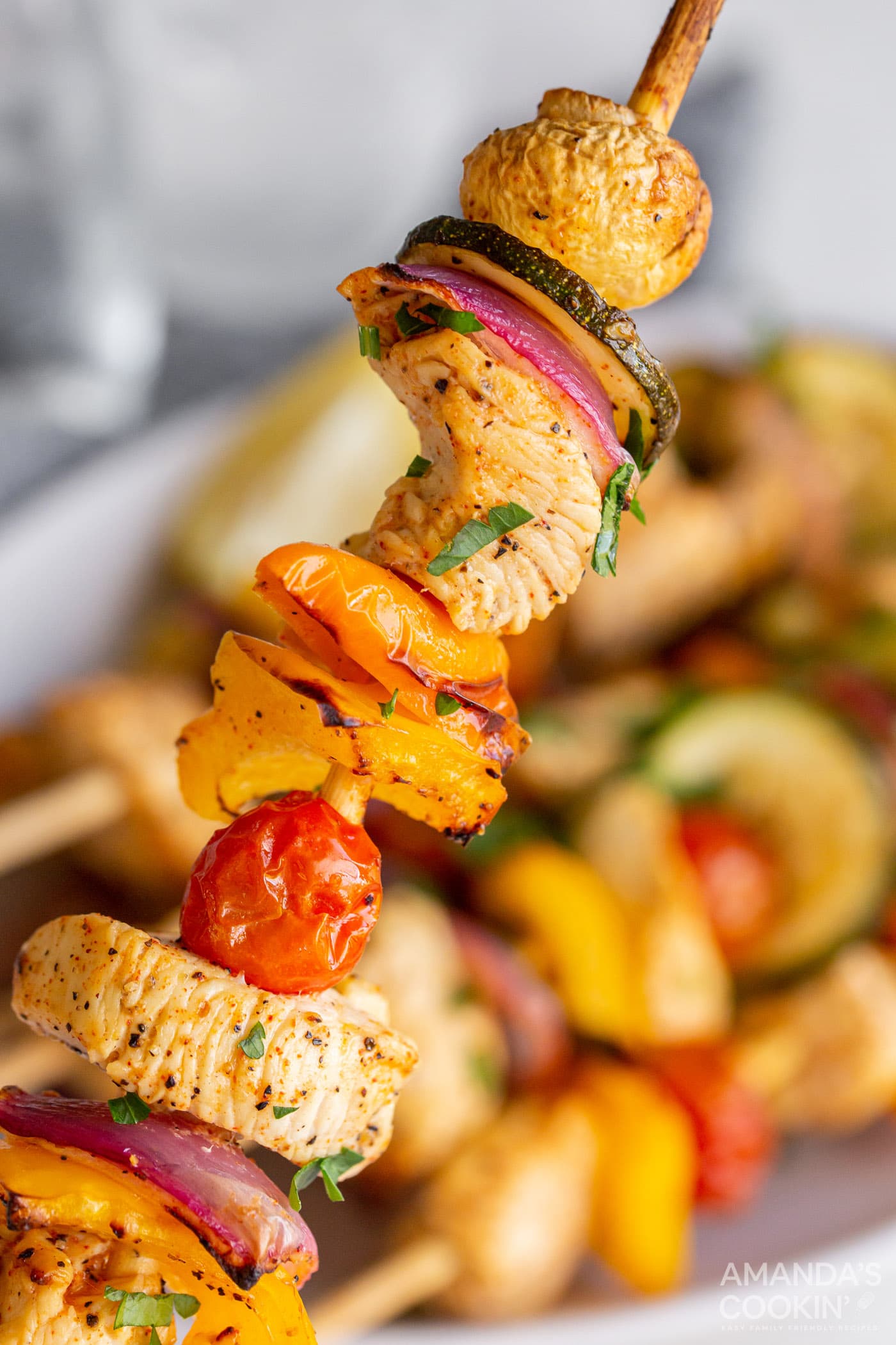 single Air Fryer Chicken Kabob