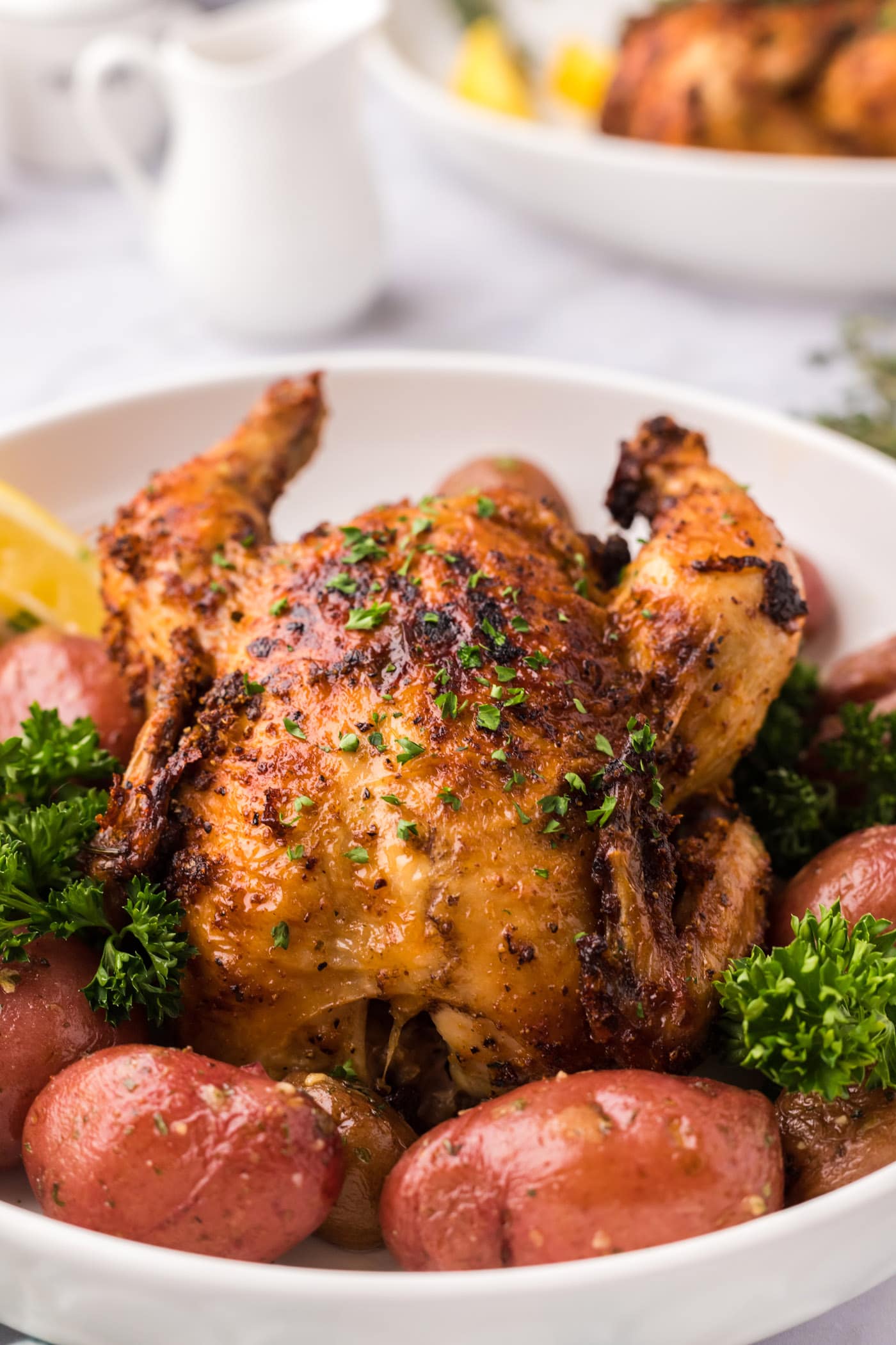 Close up photo of a Air Fryer Cornish Hen