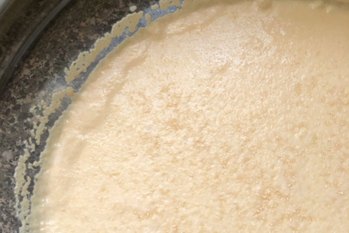 foaming yeast in a bowl