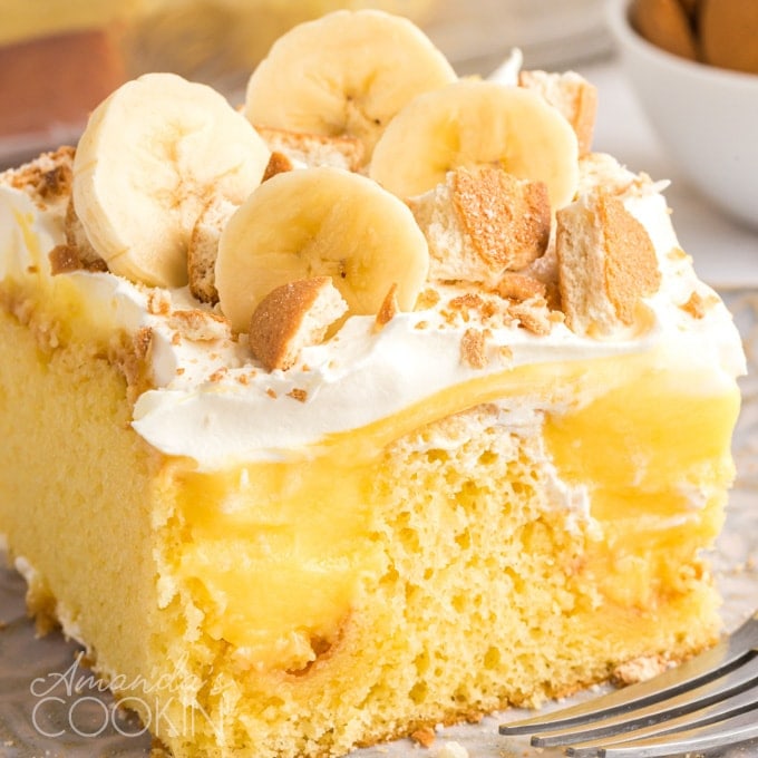 A piece of cake on a plate