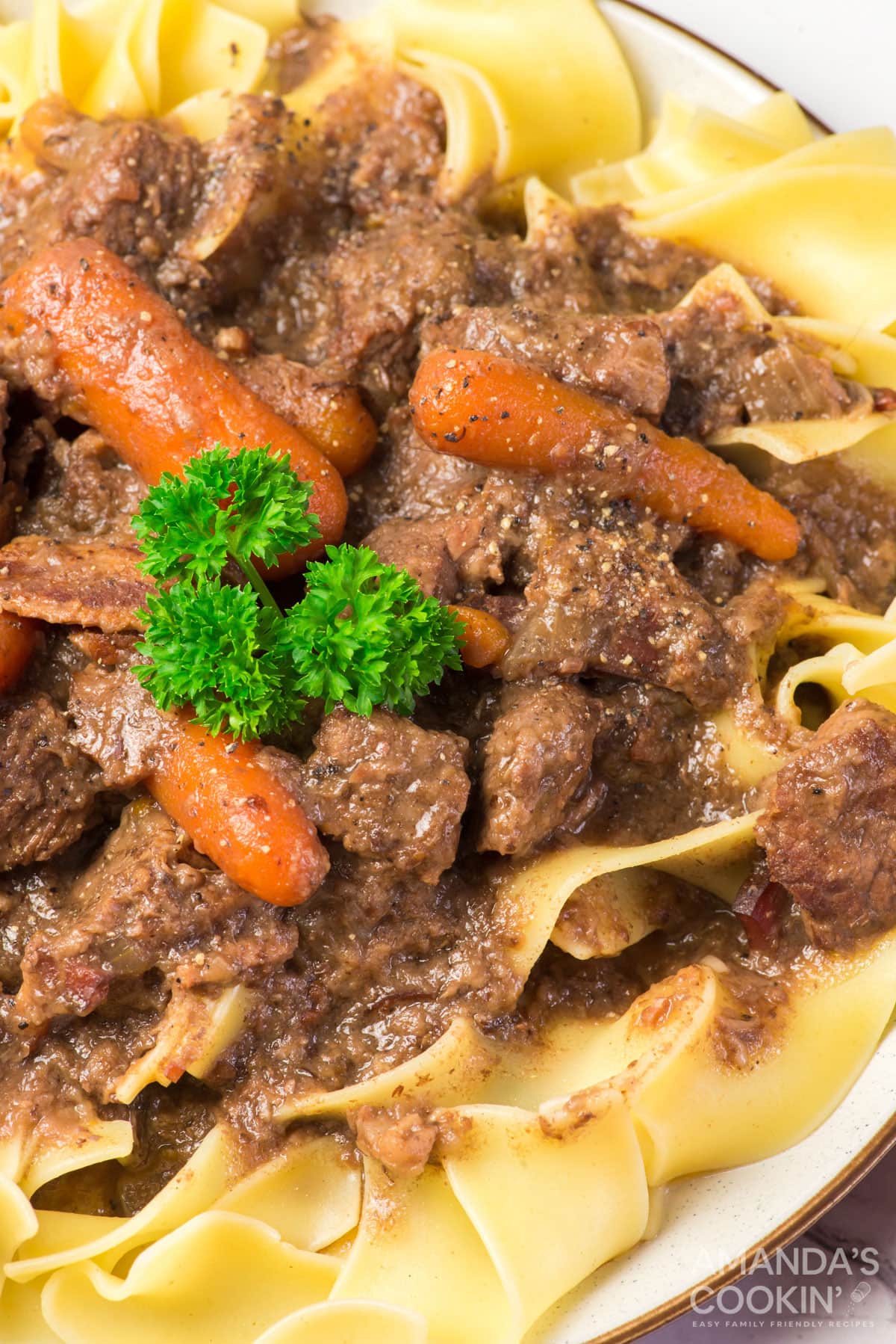 cloe up of beef burgundy on egg noodles