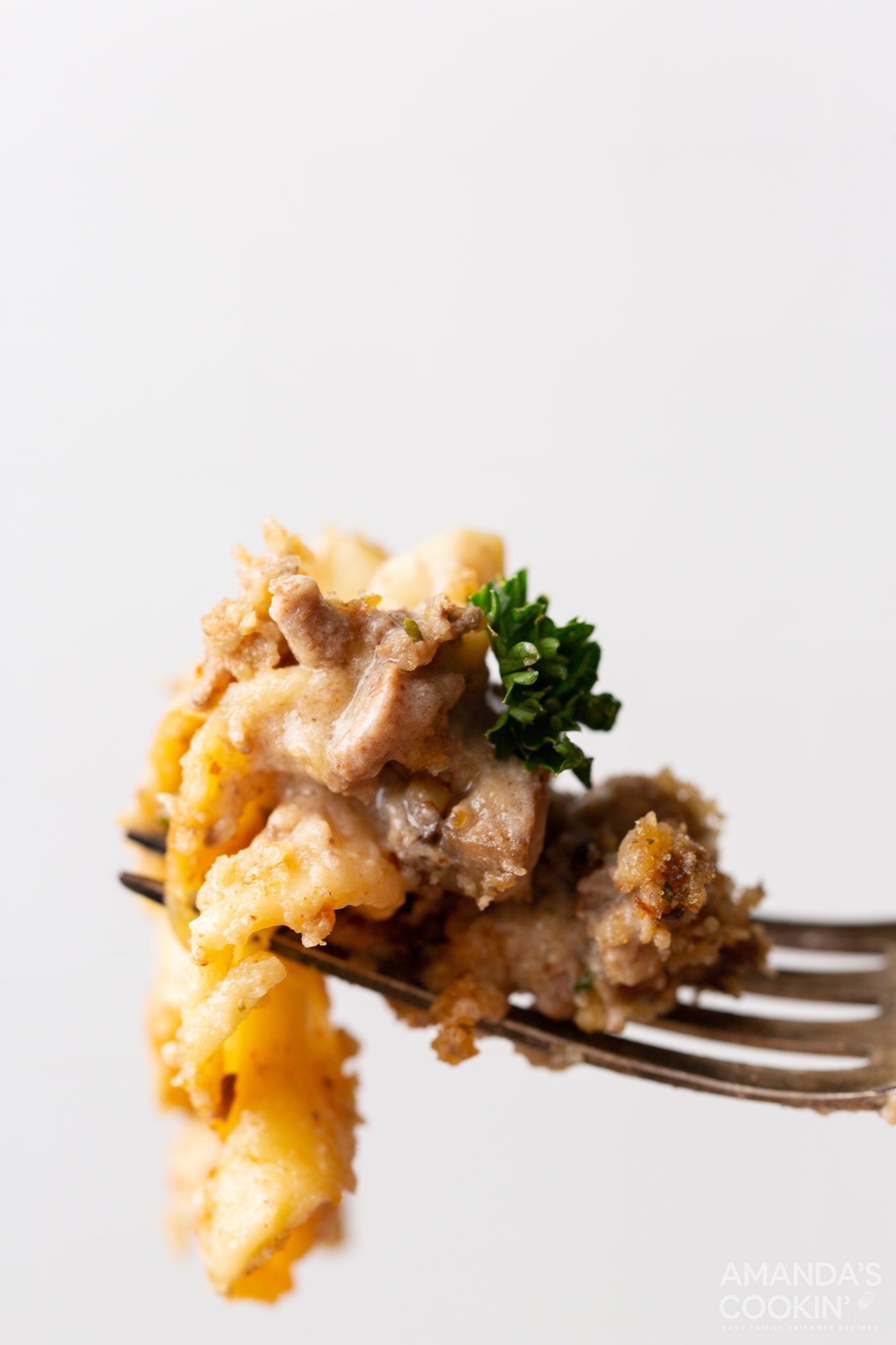 fork of Beef Stroganoff Casserole