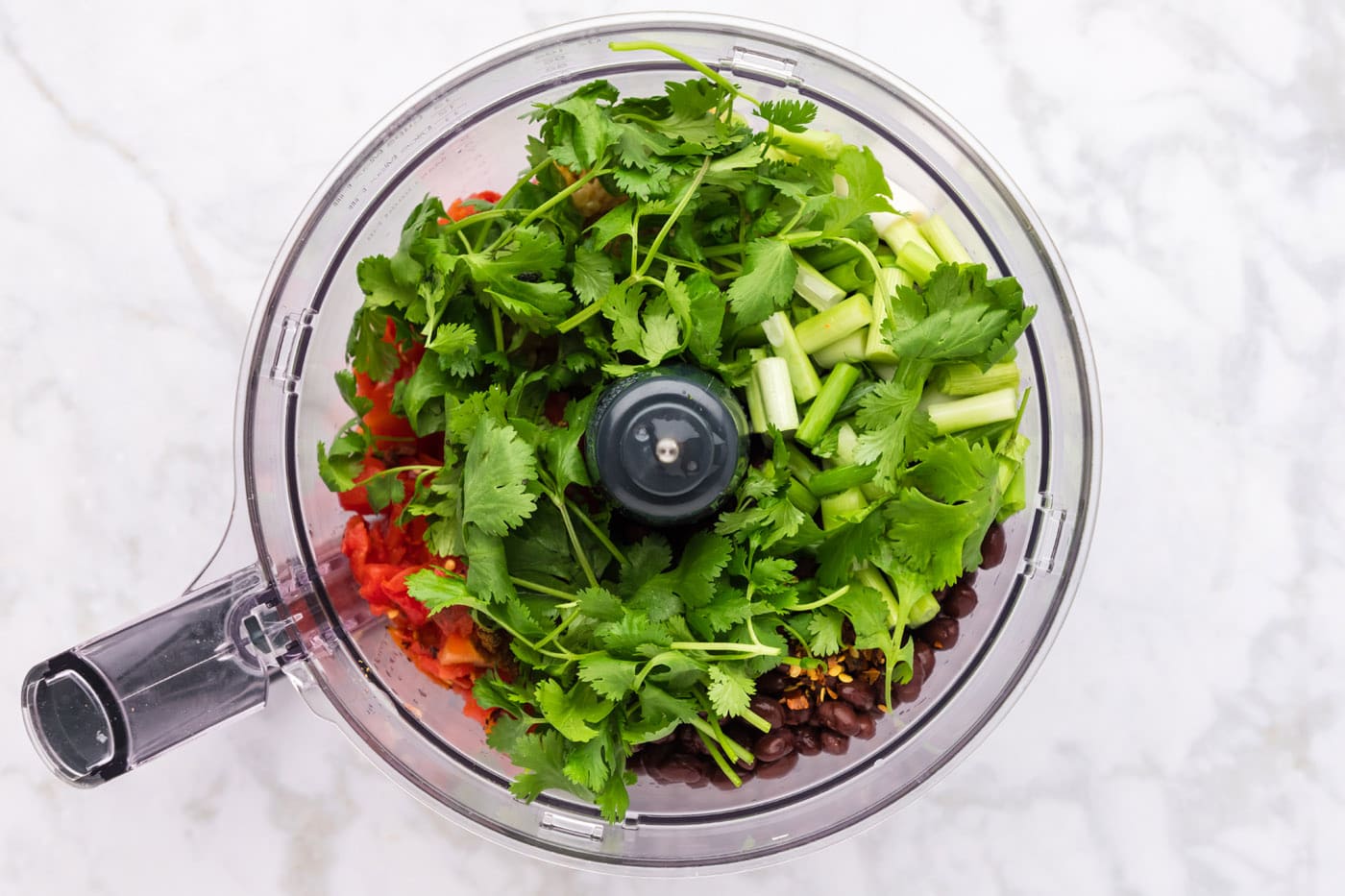 adding cilantro to dip in food processor