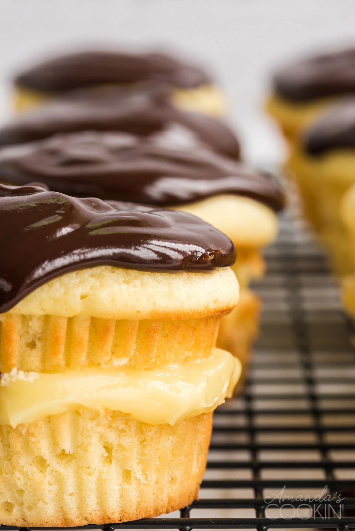 close up of Boston cream pie cupcake with chocolate topping