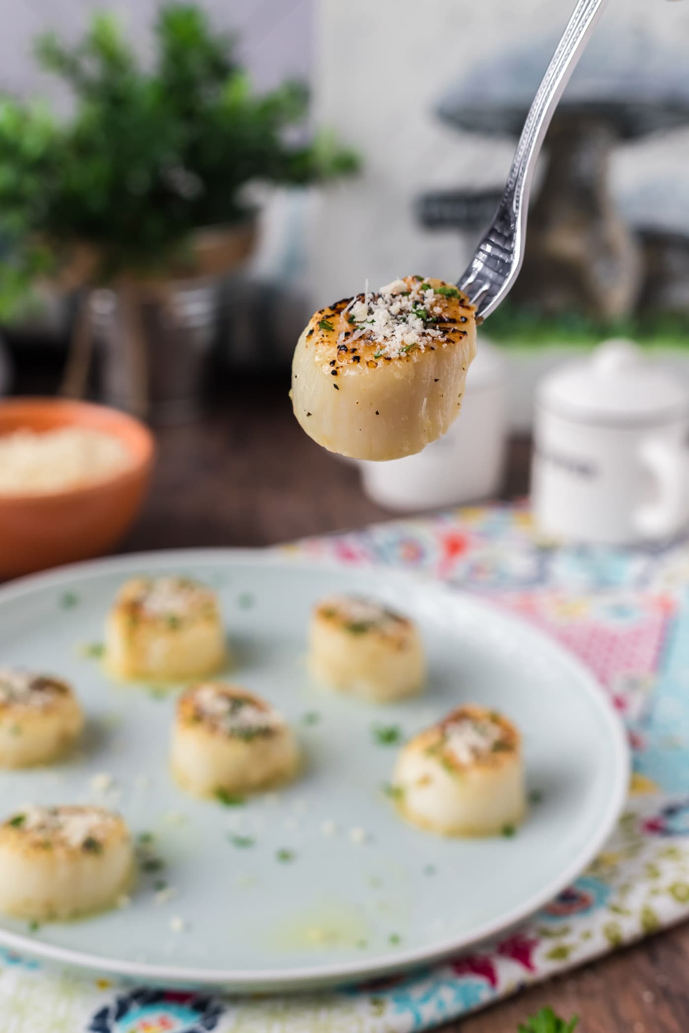 Broiled Scallop on a fork held above a plate of Broiled Scallops