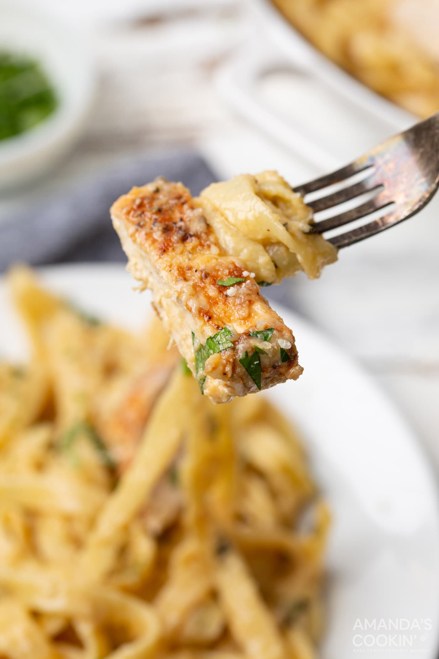 Chicken Alfredo on a fork