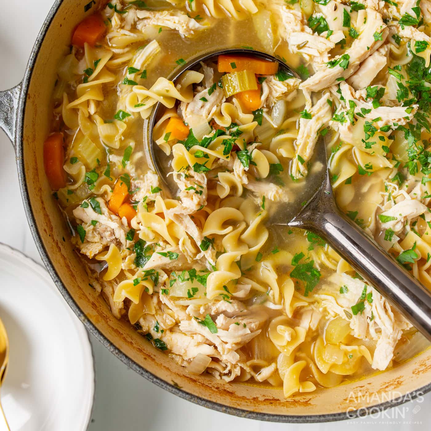 pot of Chicken Noodle Soup