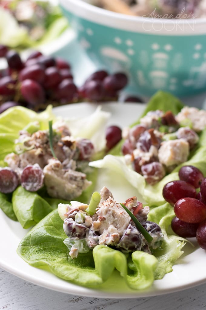 chicken salad with grapes on a bed of lettuce