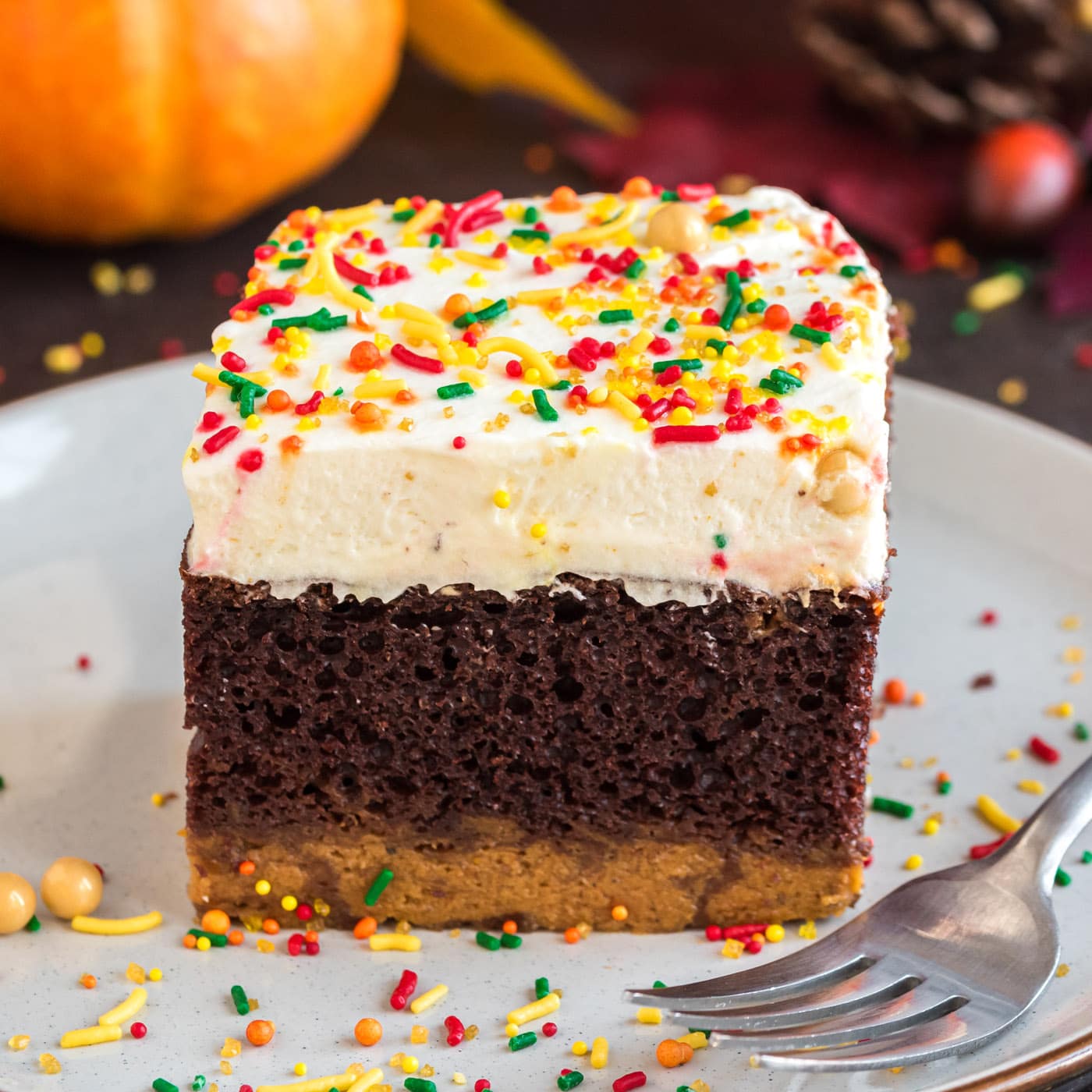 Close up photo of a piece of Chocolate Pumpkin Magic Cake