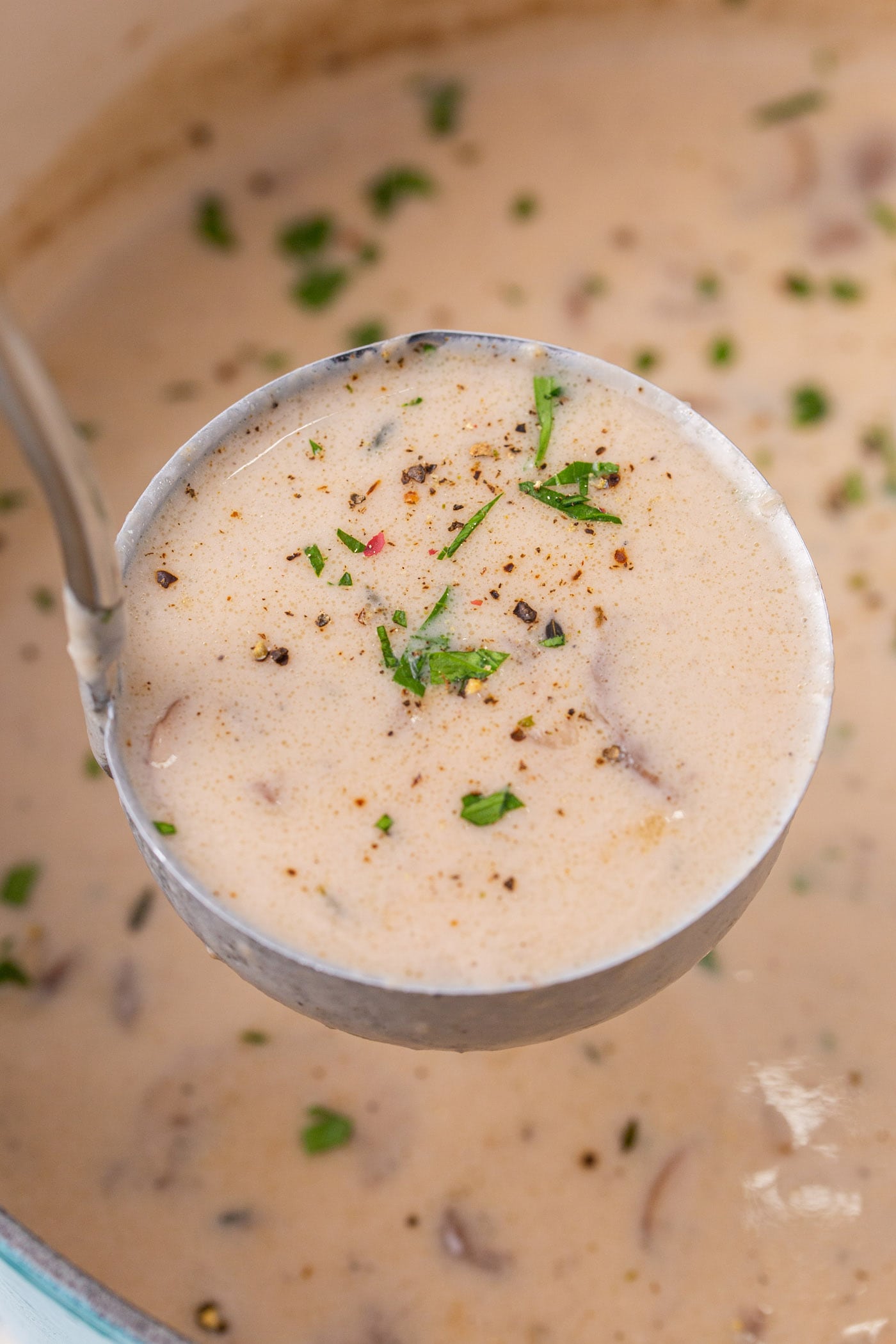 ladle of Cream of Mushroom Soup
