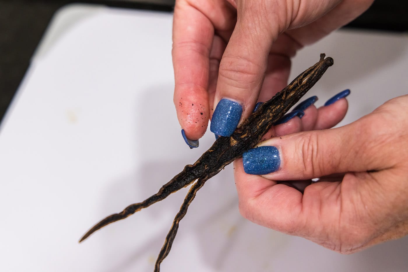 hand splitting open vanilla bean