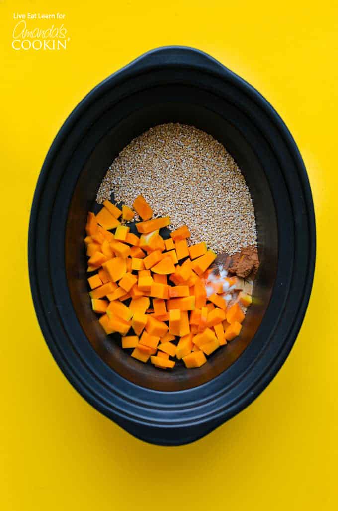 Crockpot Butternut Squash Oatmeal ingredients in crockpot