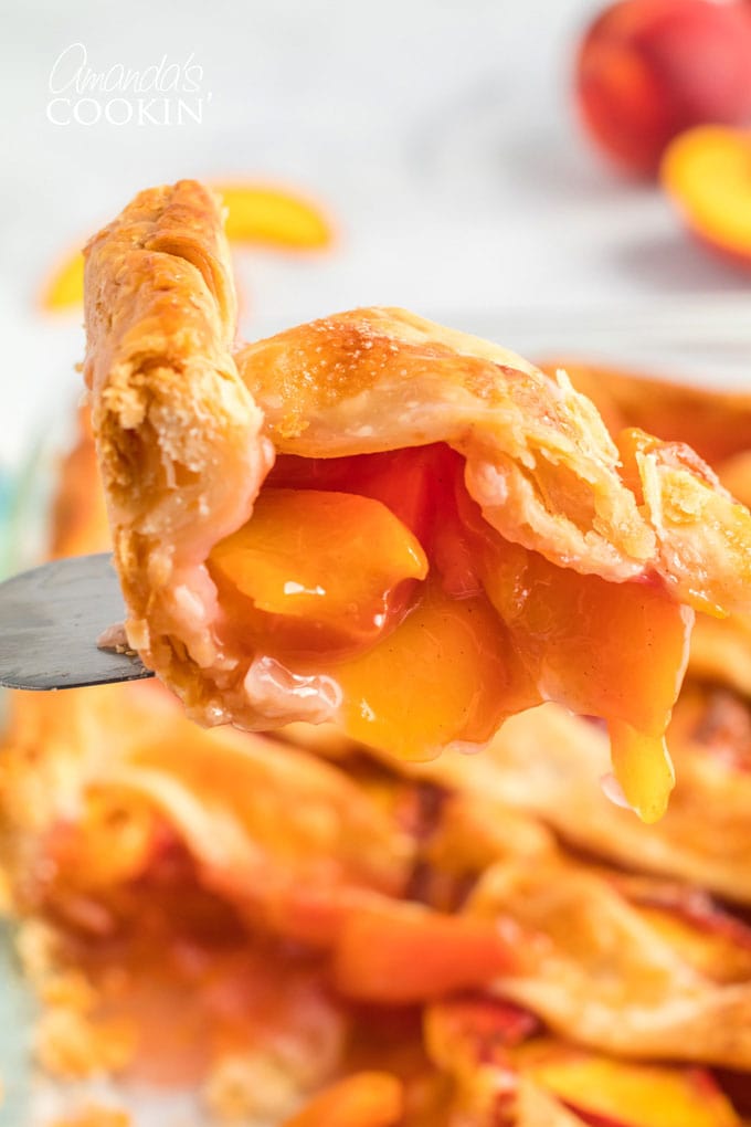 close up of slice of peach pie on pie server