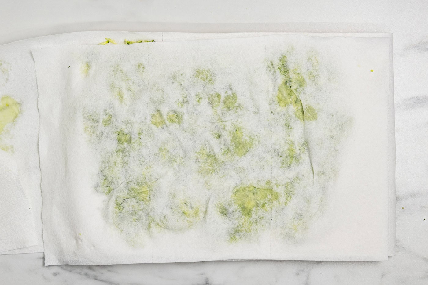 second stage blotting of zucchini