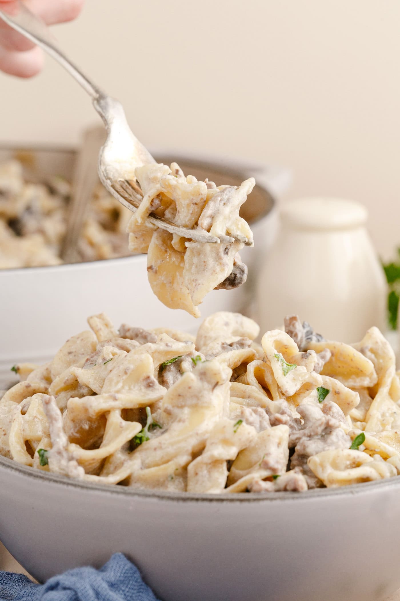 fork of Ground Beef Stroganoff