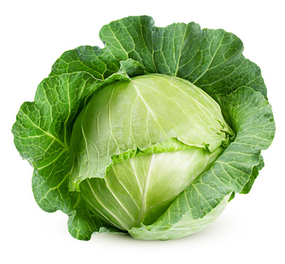 cabbage isolated on white background, clipping path, full depth of field