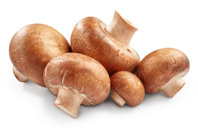 Champignon mushrooms