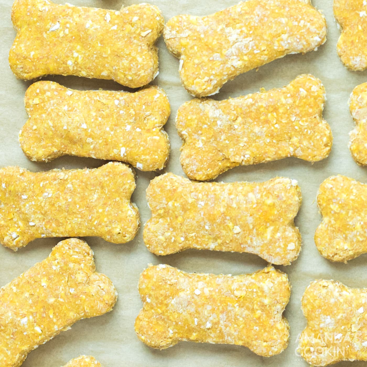 Homemade Dog Treats