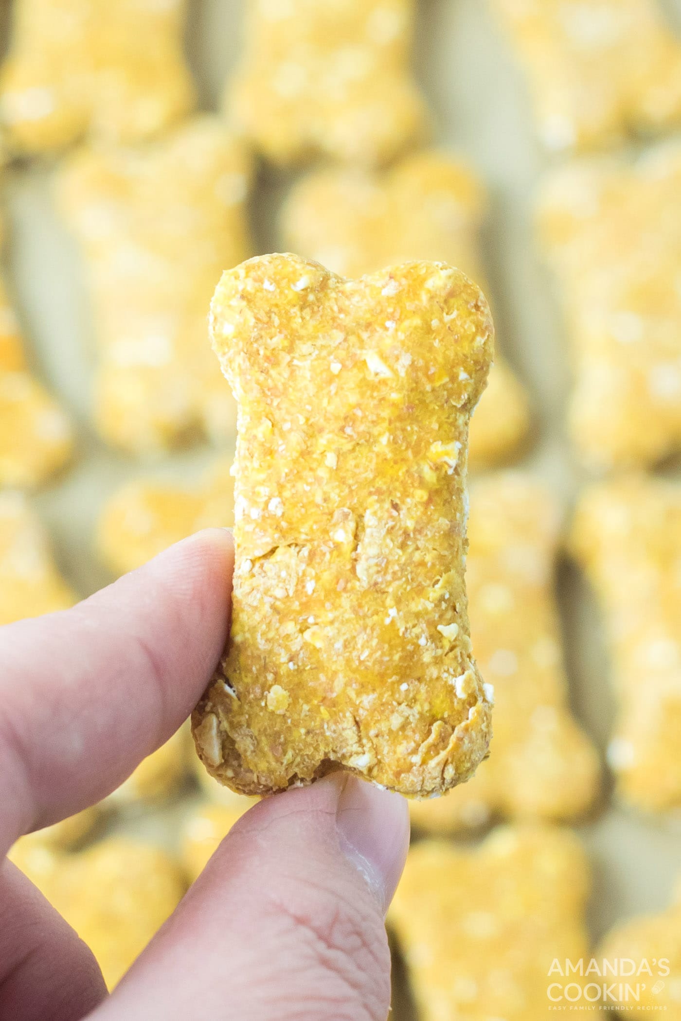 holding a dog treat
