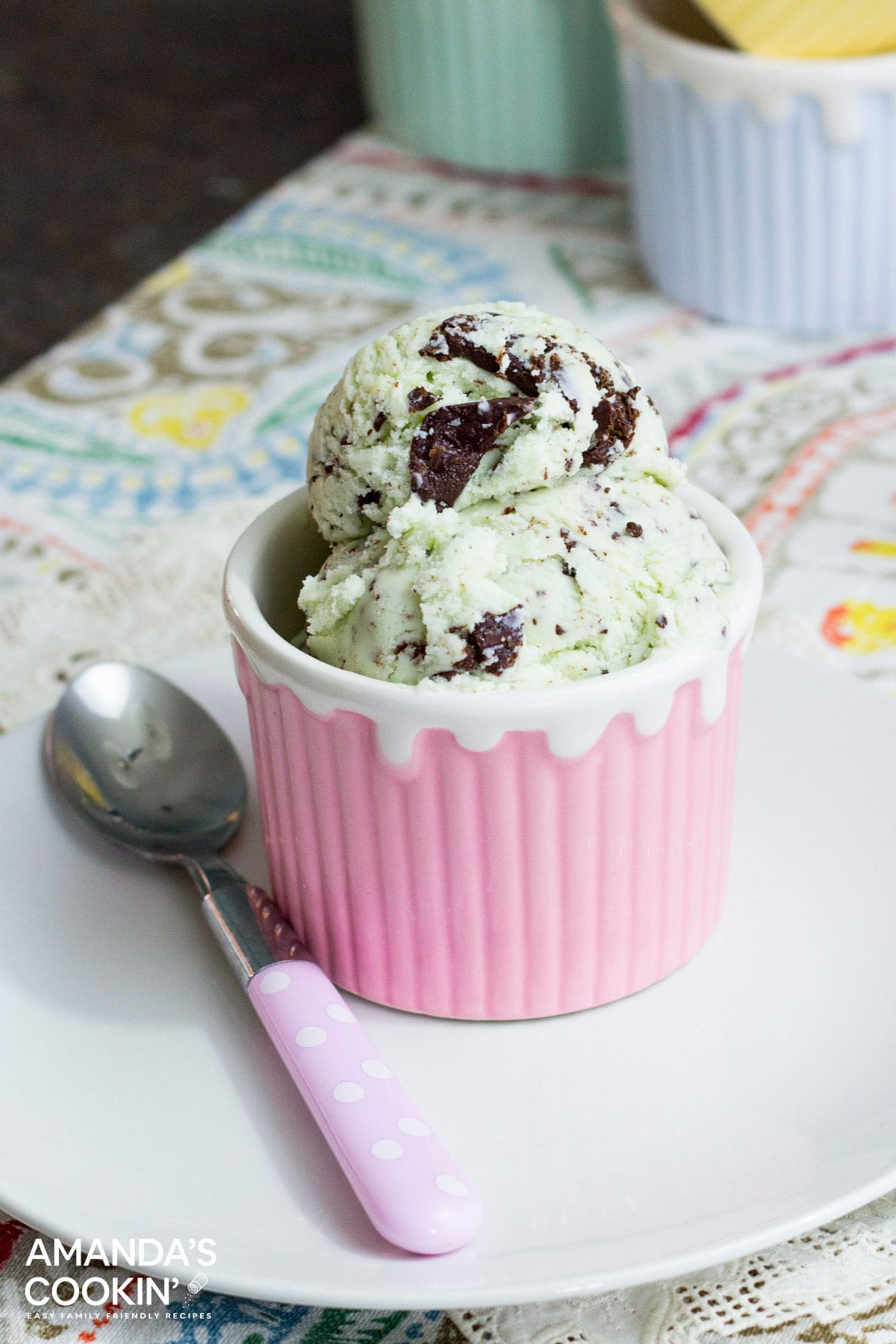 bowl of mint chocolate chip ice cream