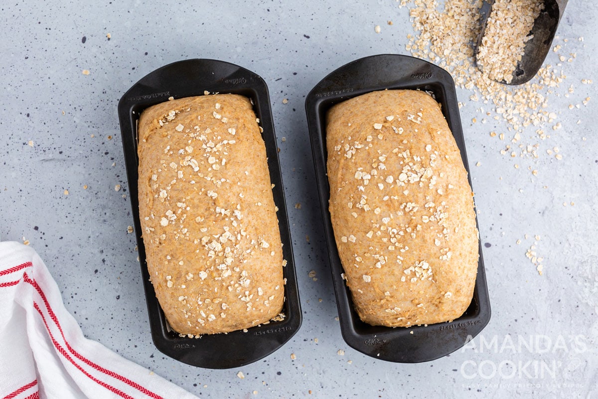 2 loaves that have risen