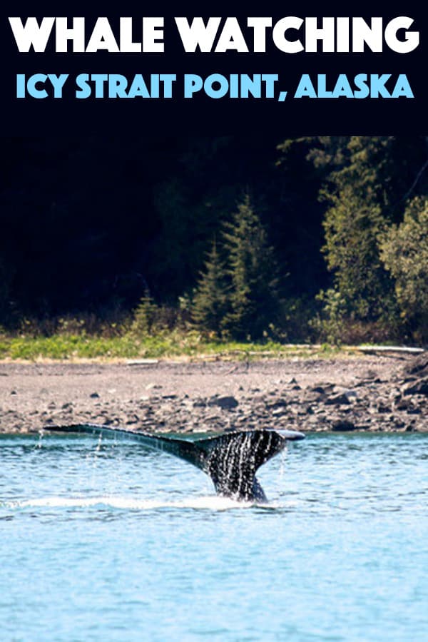 whale tail coming out of water
