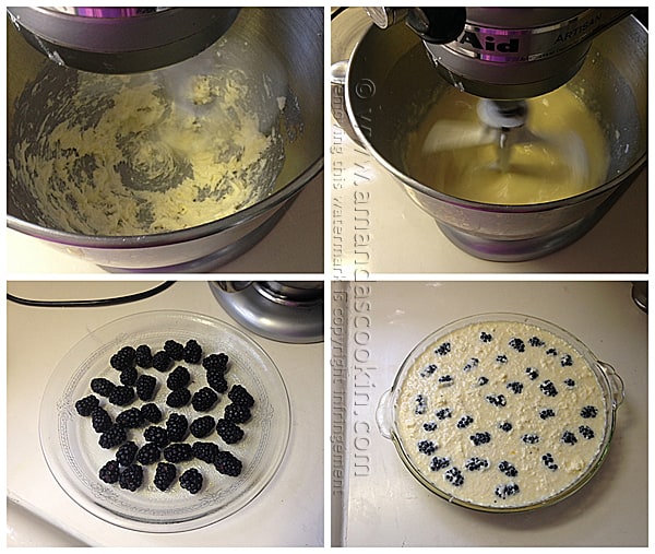 Blackberry Coconut Impossible Pie