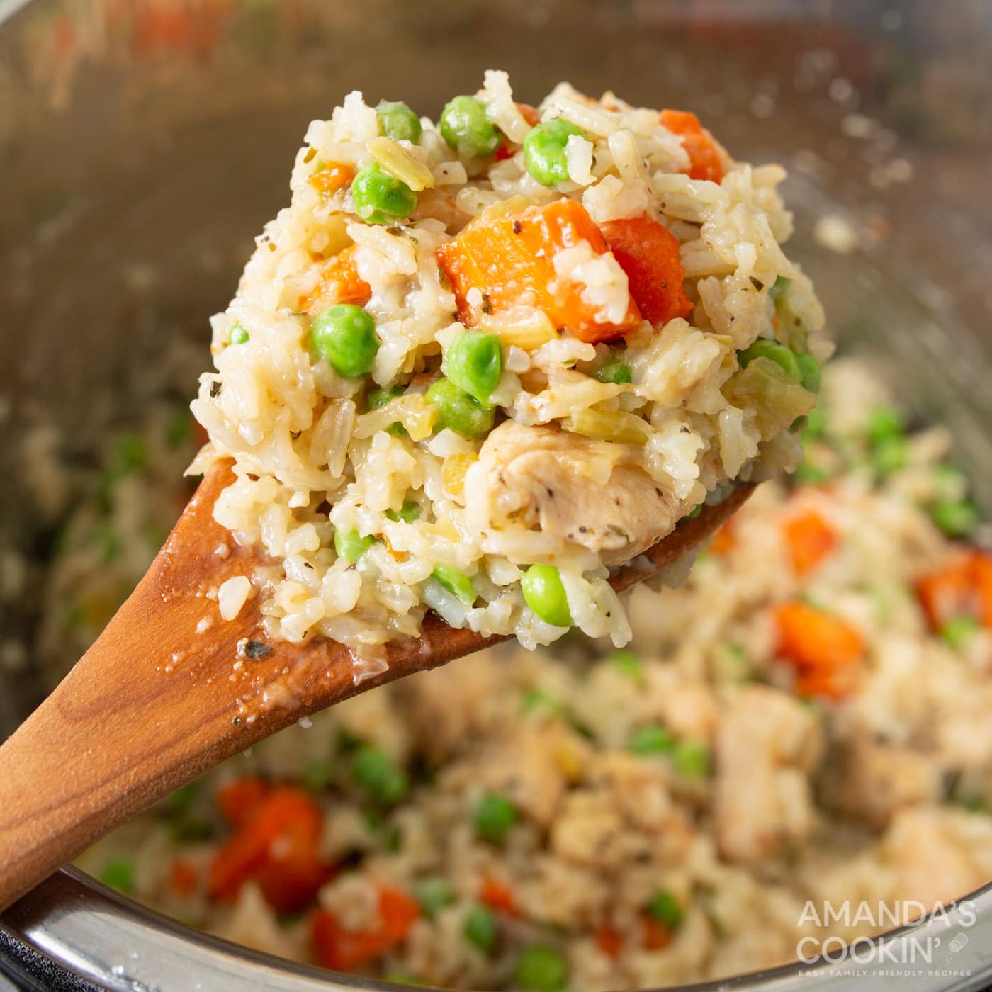 instant pot chicken and rice