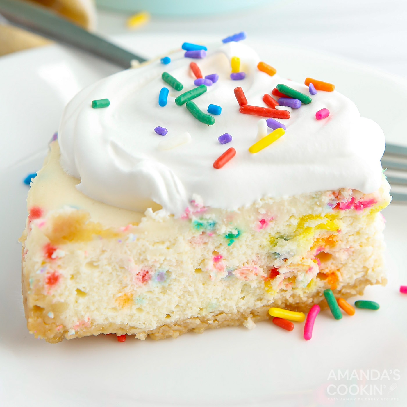slice of Funfetti Cheesecake