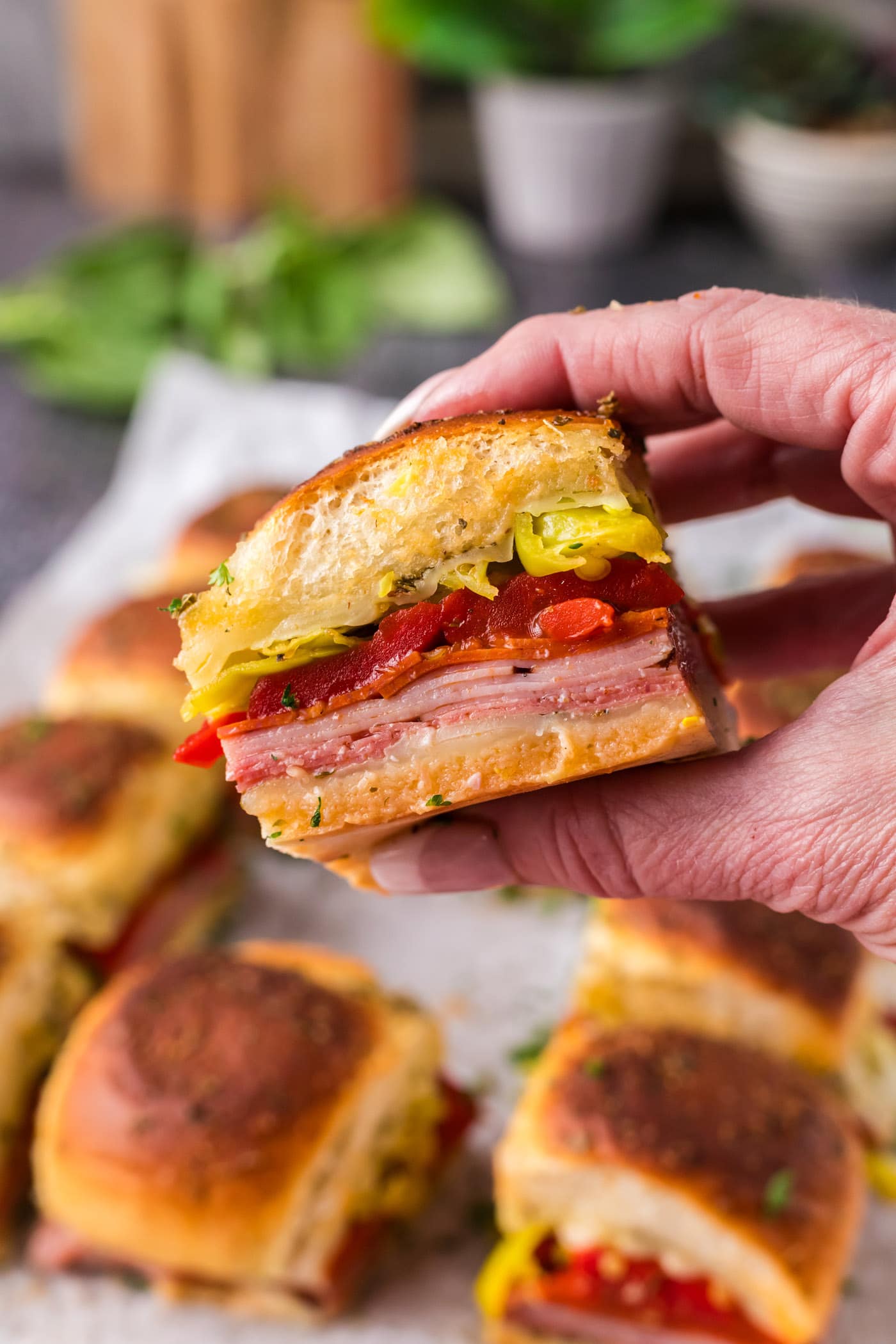 Hand holding up a Italian Slider