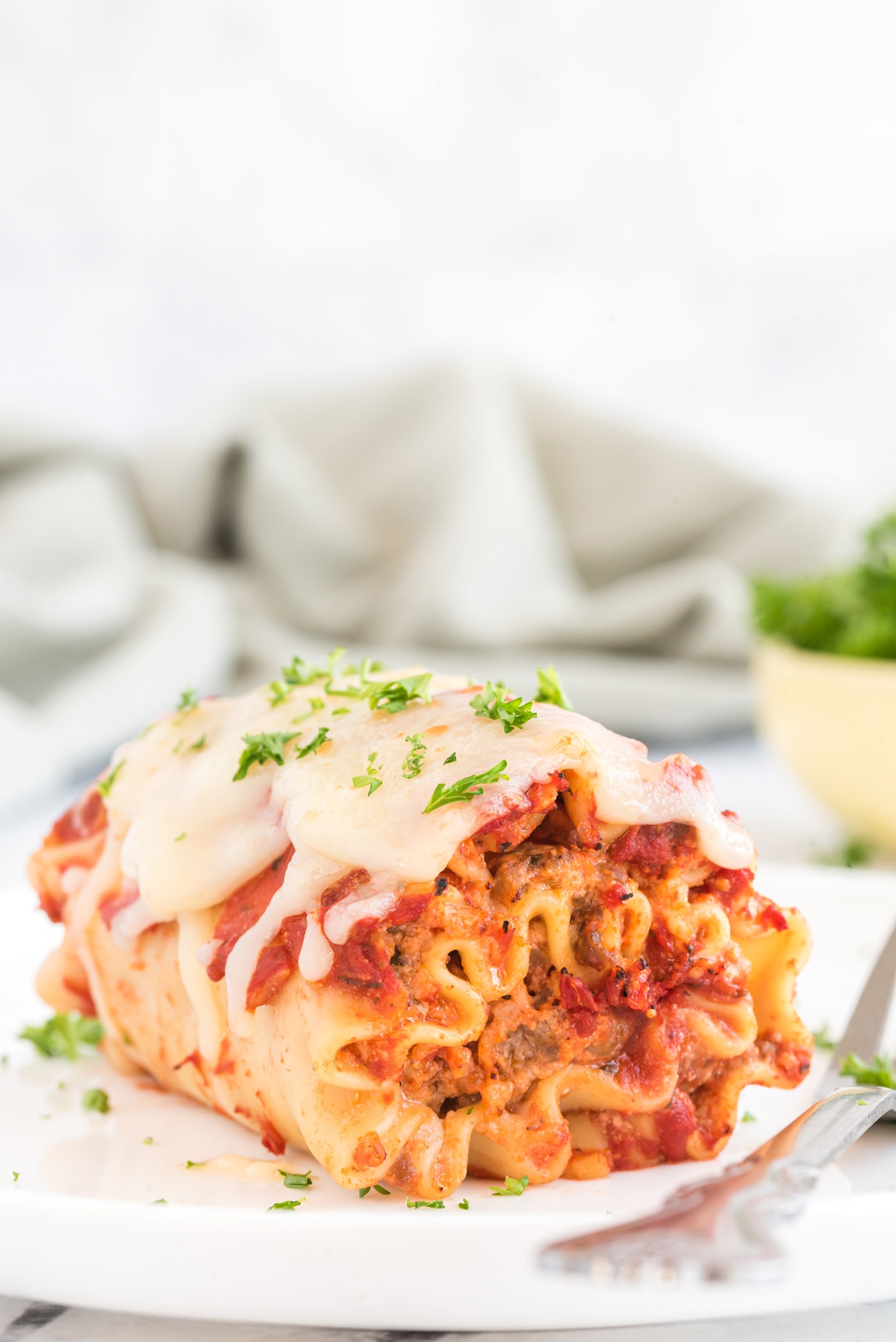 Lasagna Roll Up on a plate