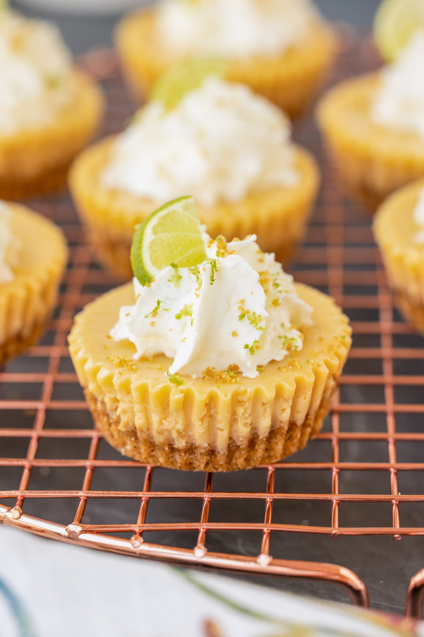 Mini Key Lime Pie on rack