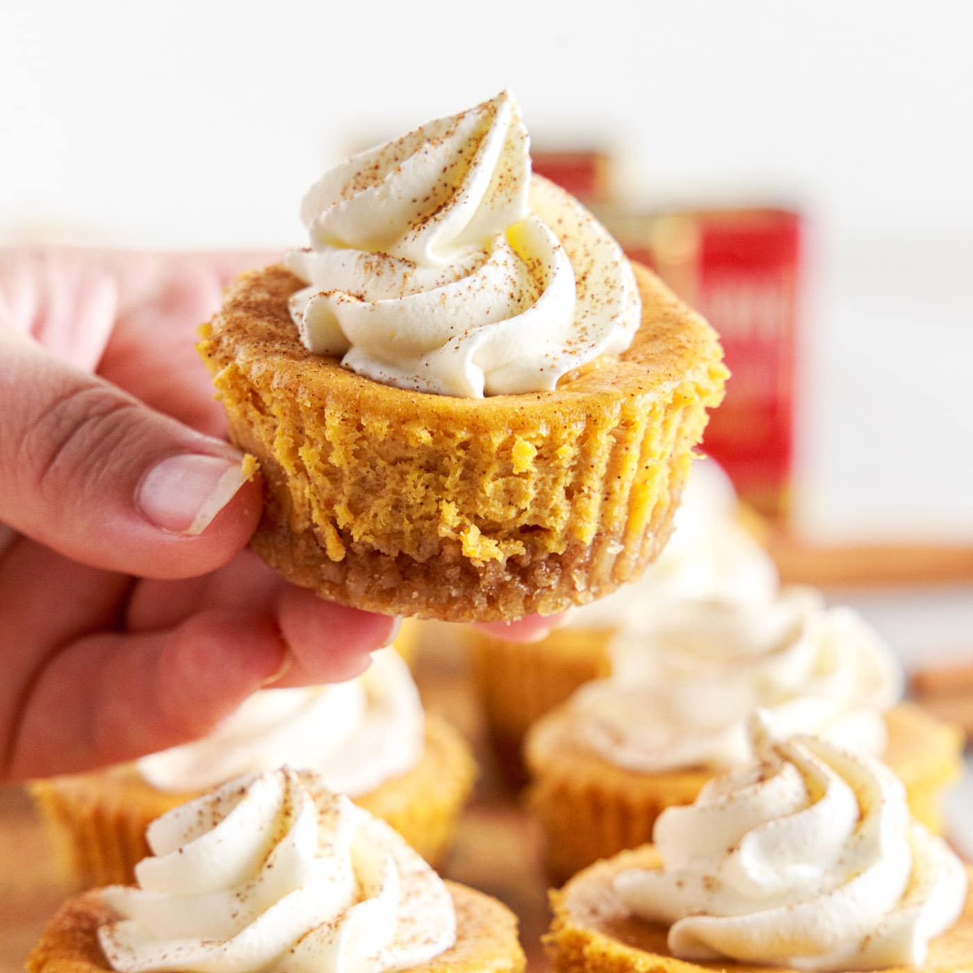holding a Mini Pumpkin Cheesecake