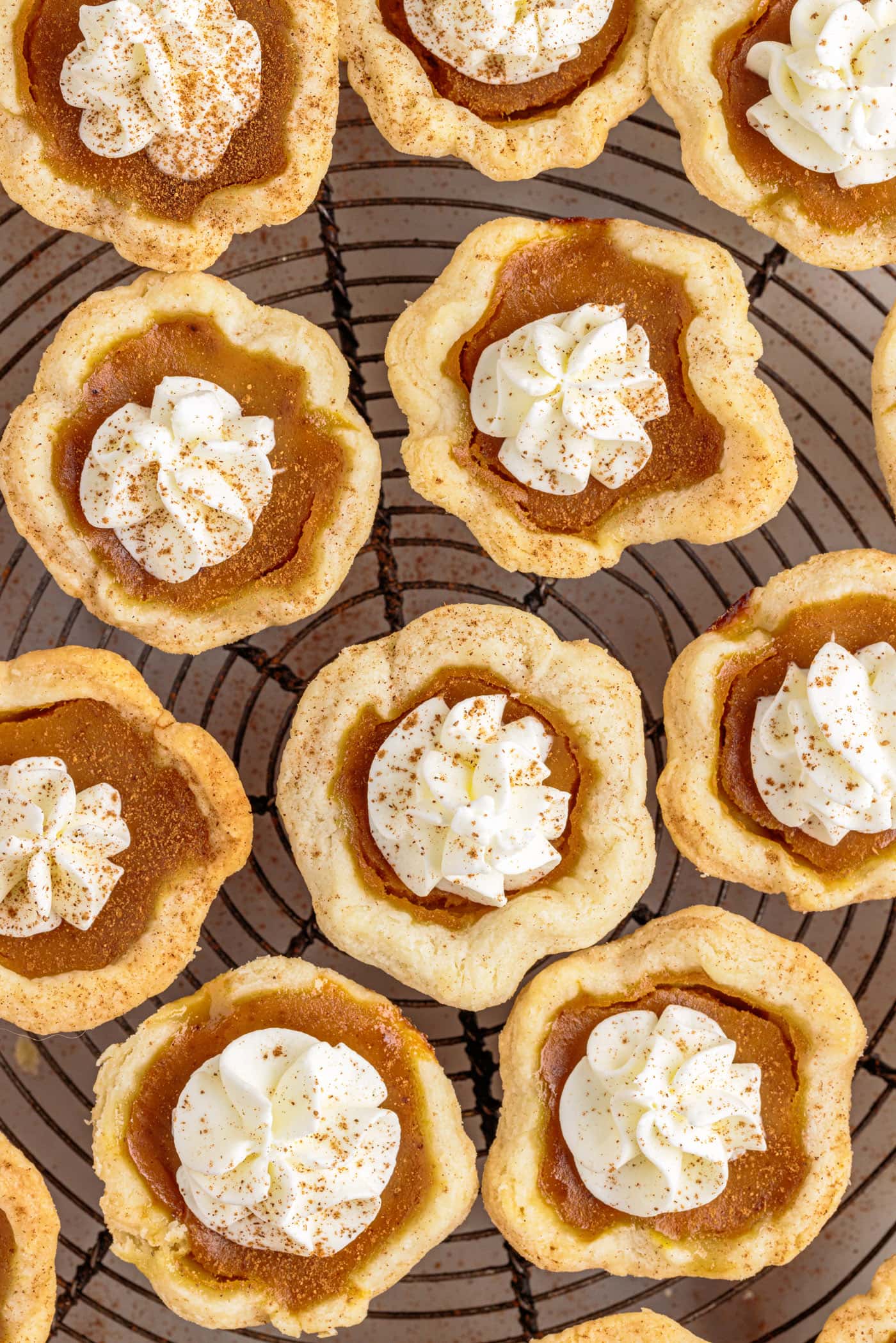 Mini Pumpkin Pies on rack