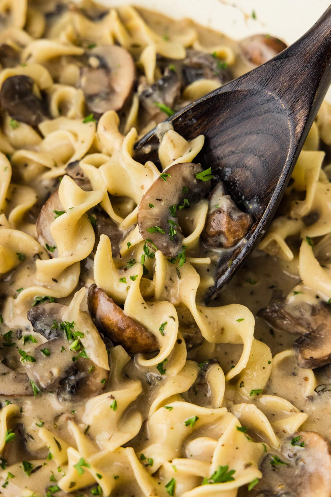 spooning up some Mushroom Stroganoff