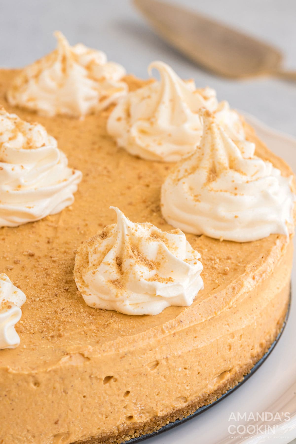 no bake pumpkin cheesecake with whipped topping garnish