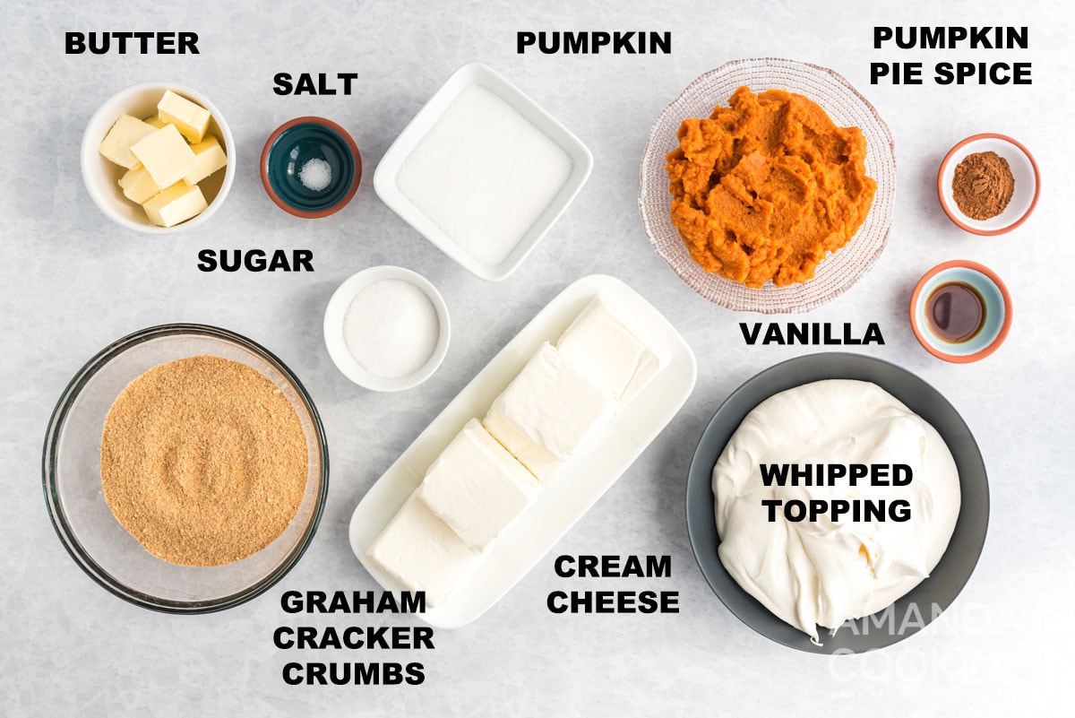 labeled ingredients for no bake pumpkin cheesecake