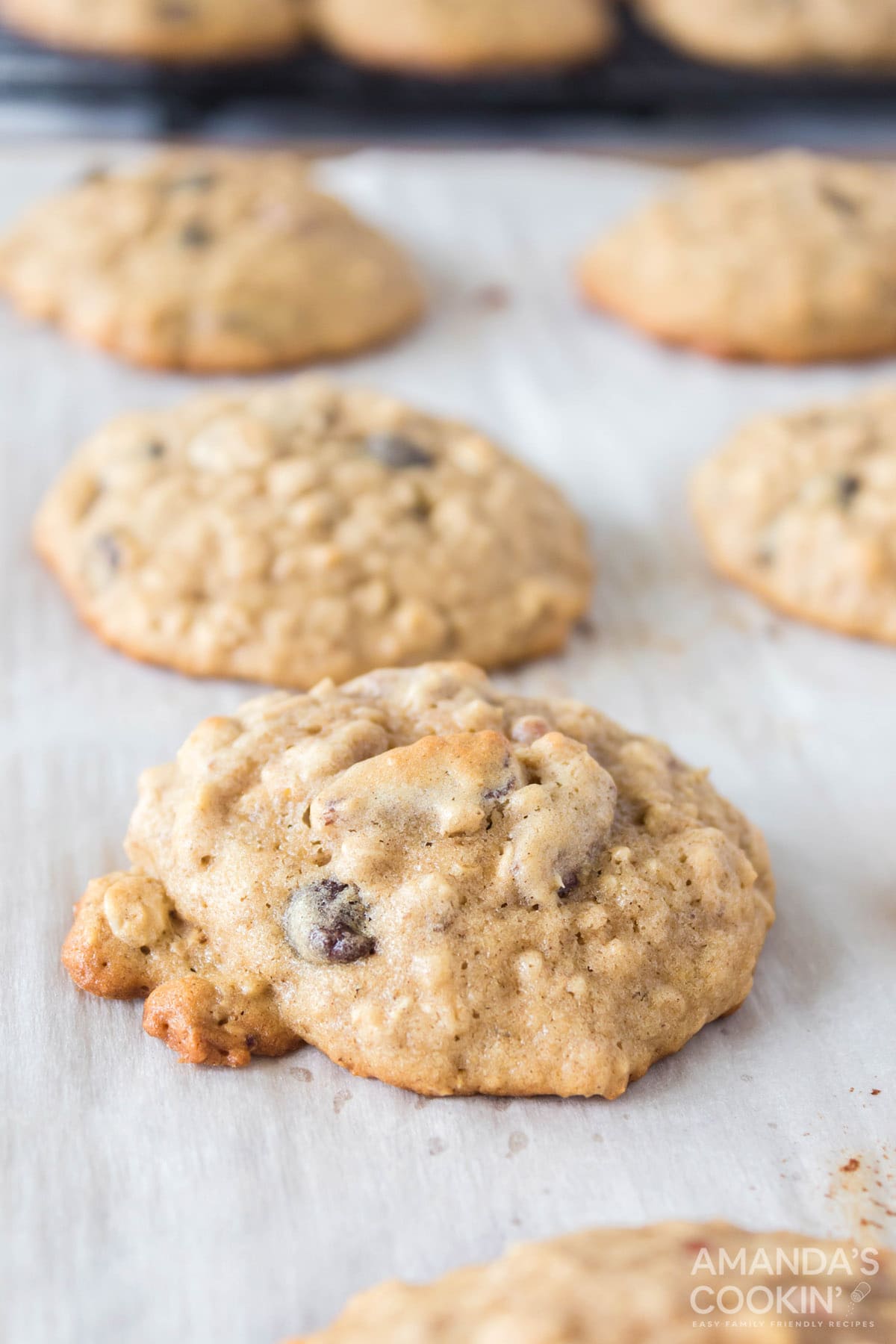 Oatmeal Cookies on parchment