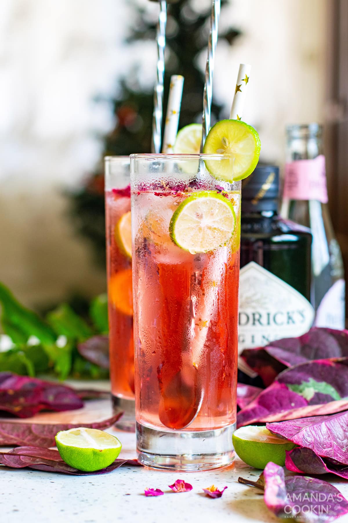 Pink Gin & Tonic in glasses with lime wedges