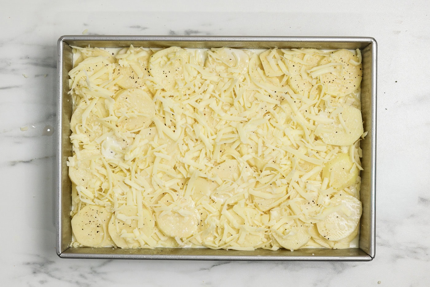 Layer of cheese on top of potatoes au gratin in a baking pan