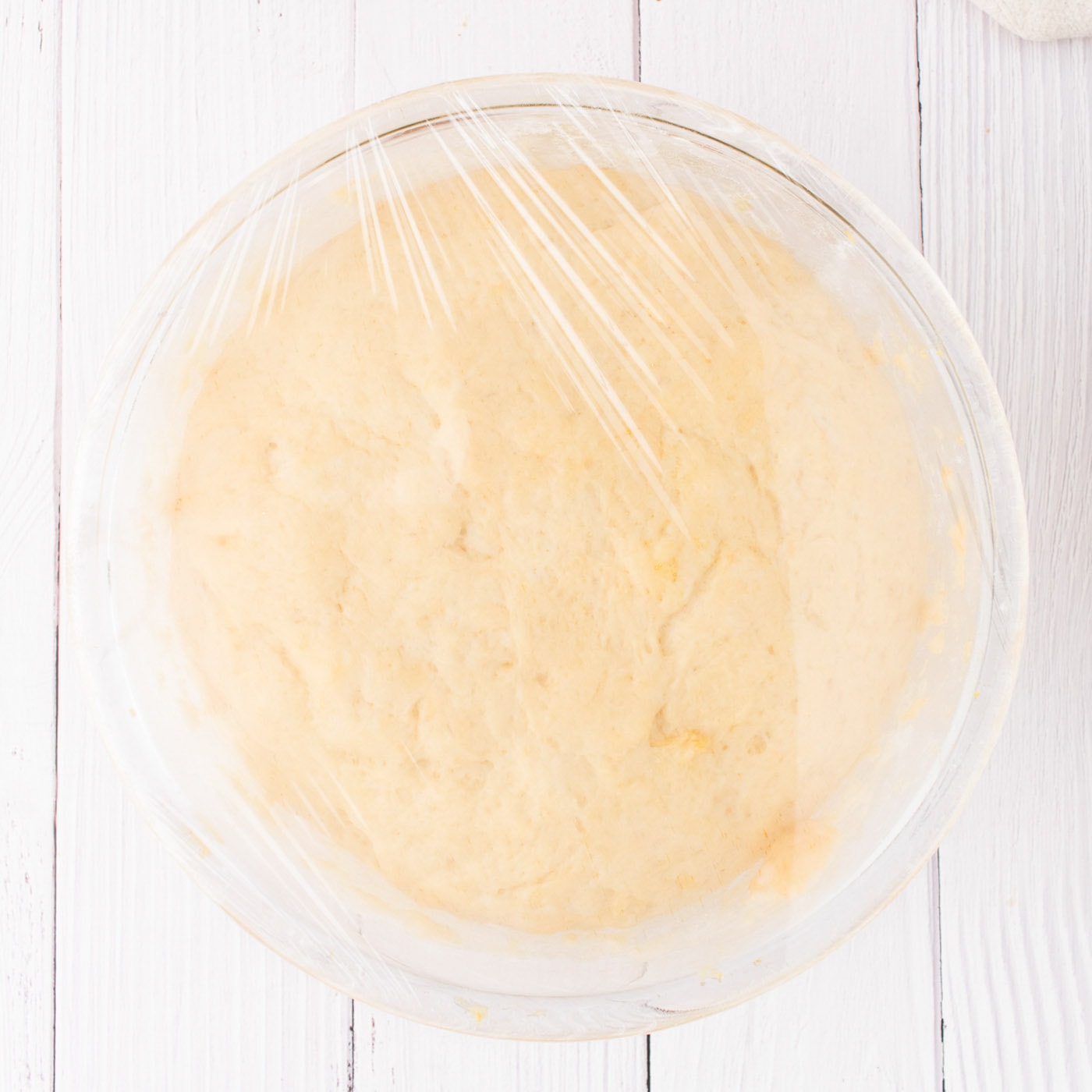 pumpkin cinnamon roll dough covered with plastic wrap