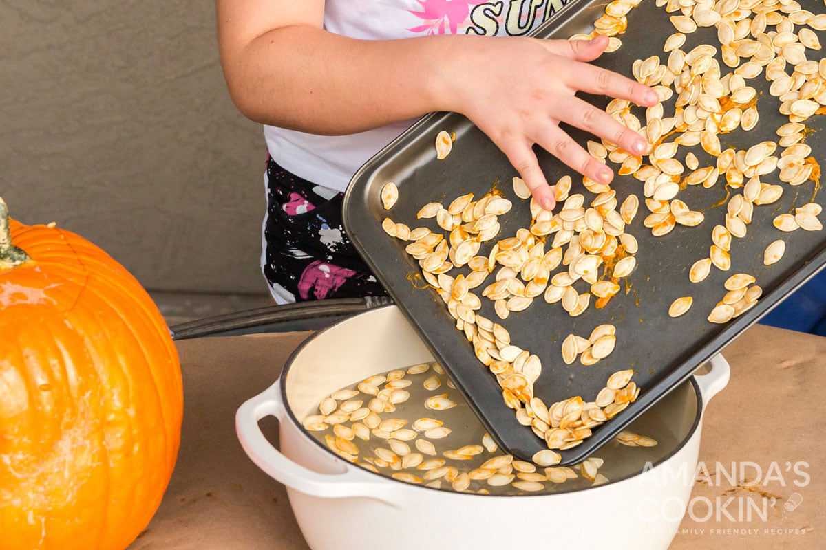 child adding pumpkin seeds to water