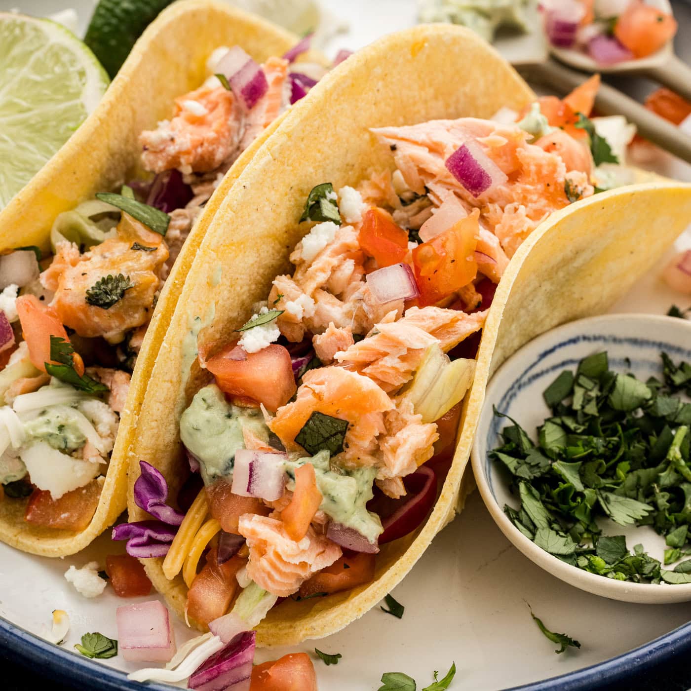 close up photo of Salmon Tacos