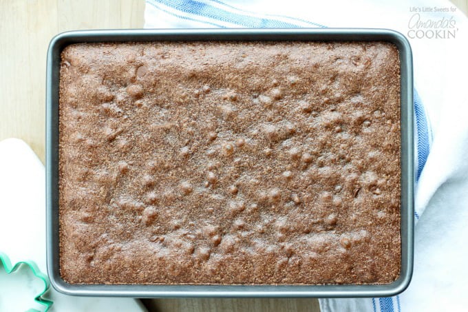 Fudgy and decadent chocolate brownies!