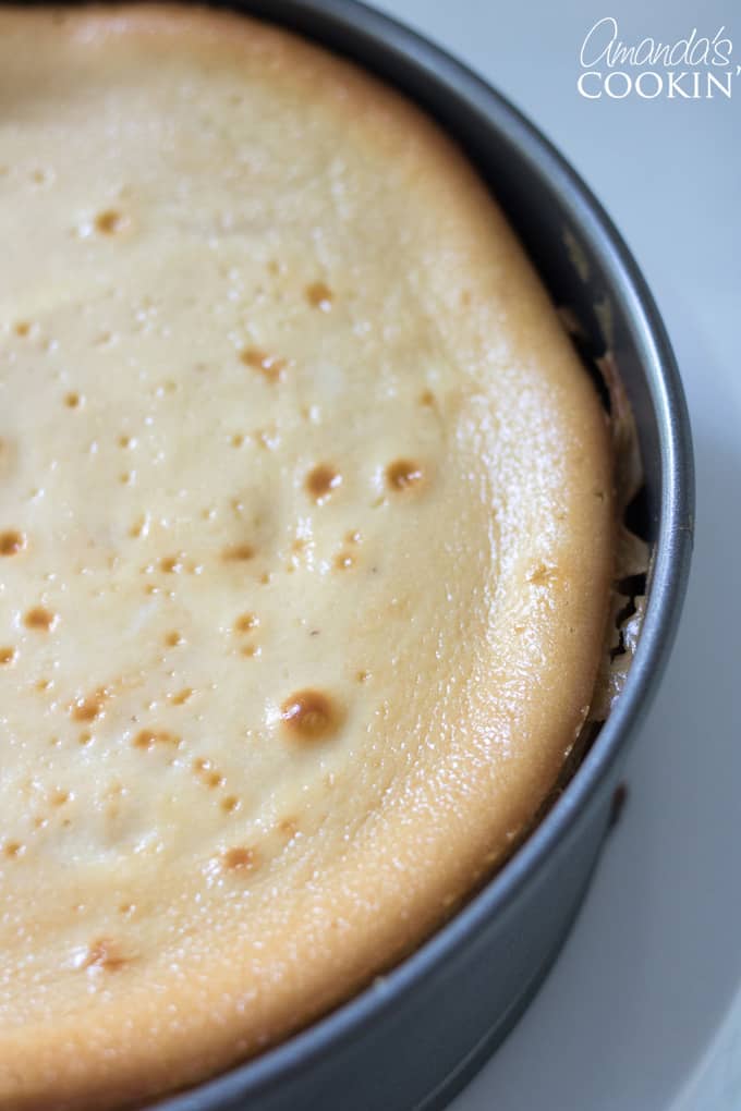 How to make tiramisu cheesecake: step 11