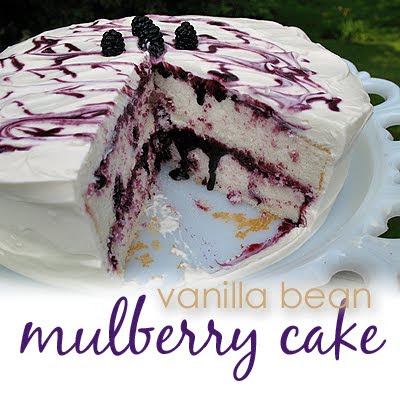 A photo of a vanilla bean mulberry cake with a slice taken out.