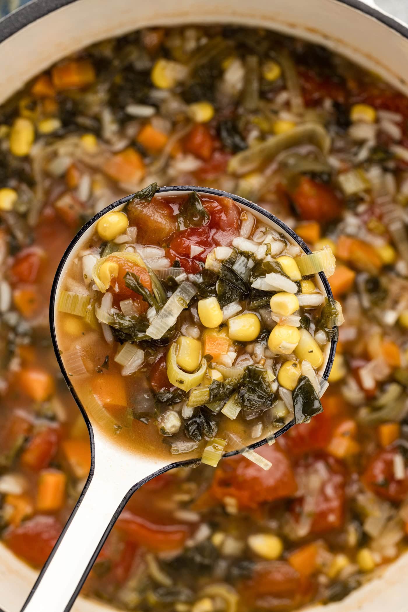Ladle of Vegetable Rice Soup held over a pot of Vegetable Rice Soup