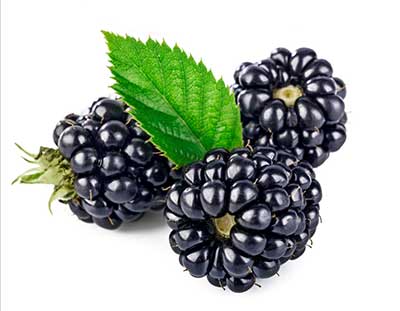 blackberries