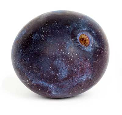 plum