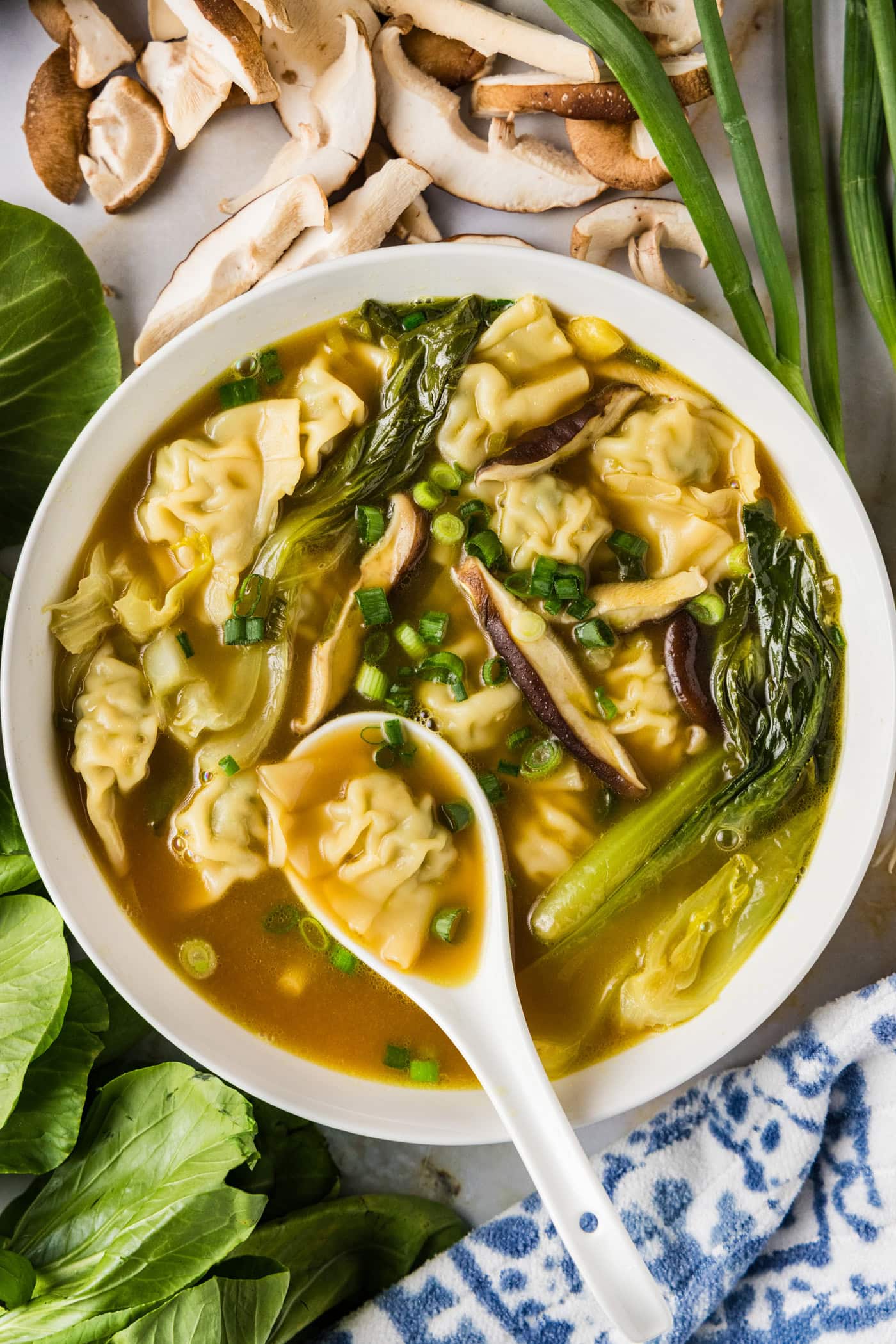 Bowl of Wonton Soup with a spoon in it and green onions, mushrooms and baby bok choy around it